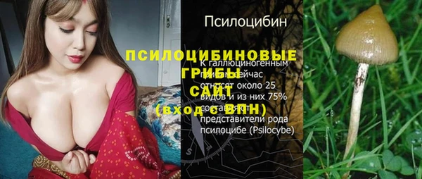 стафф Балабаново